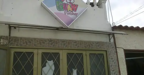 MR GUAW PETSHOP MR GUAW PETSHOP